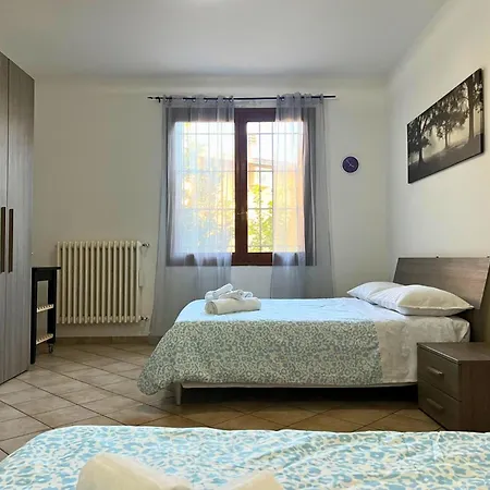 Viol'house - - Florence *