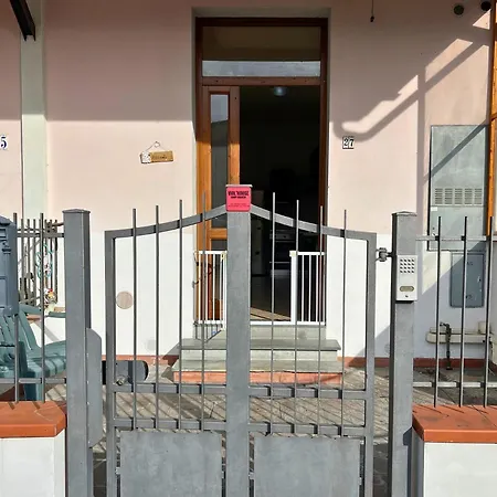Viol'house - - Florence *